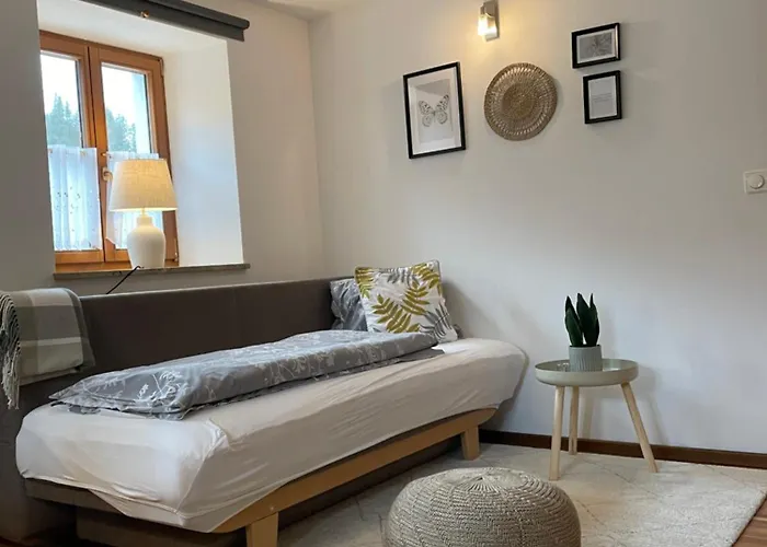 アパート Gemuetliches Apartment Im Kraemerhaus In Annaberg , 1 Schlafzimmer, 2-4 Personen, Zentrum